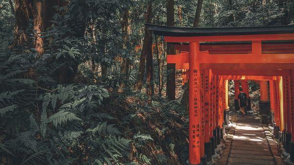 京都留學必做的幾件事