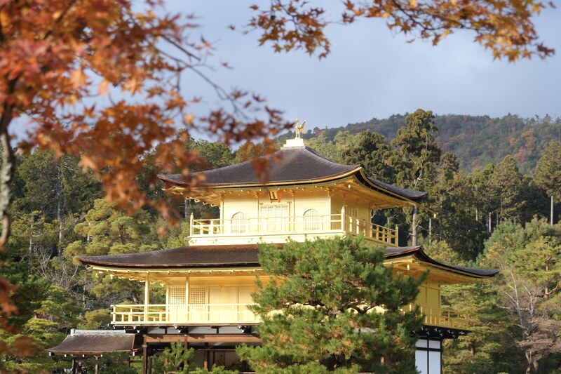 金閣寺面光