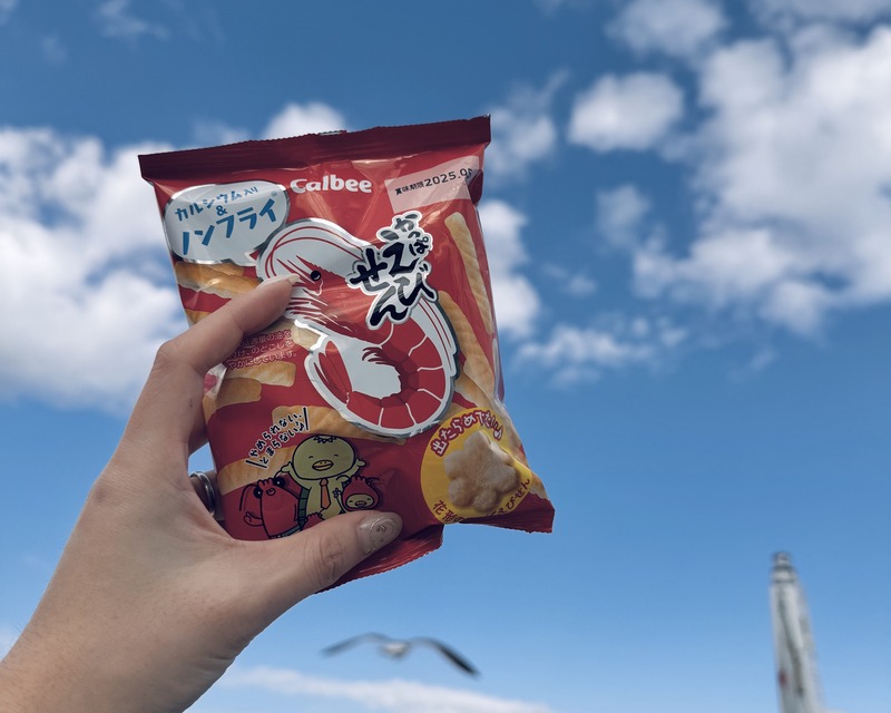 天橋立觀光船蝦味先