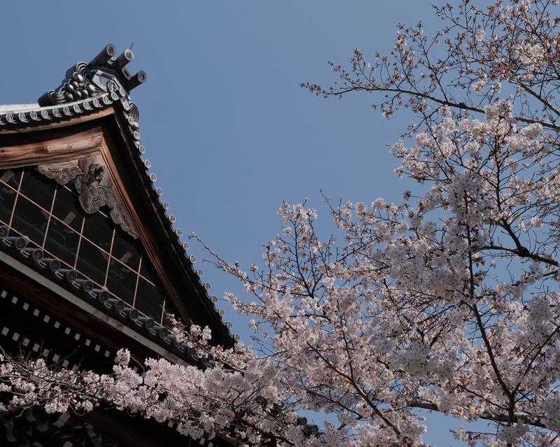 南禪寺