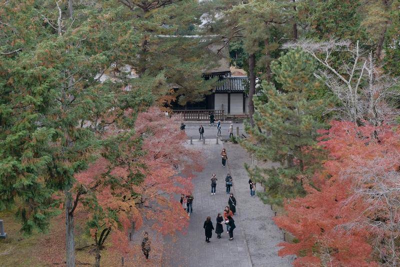 南禪寺三門視野