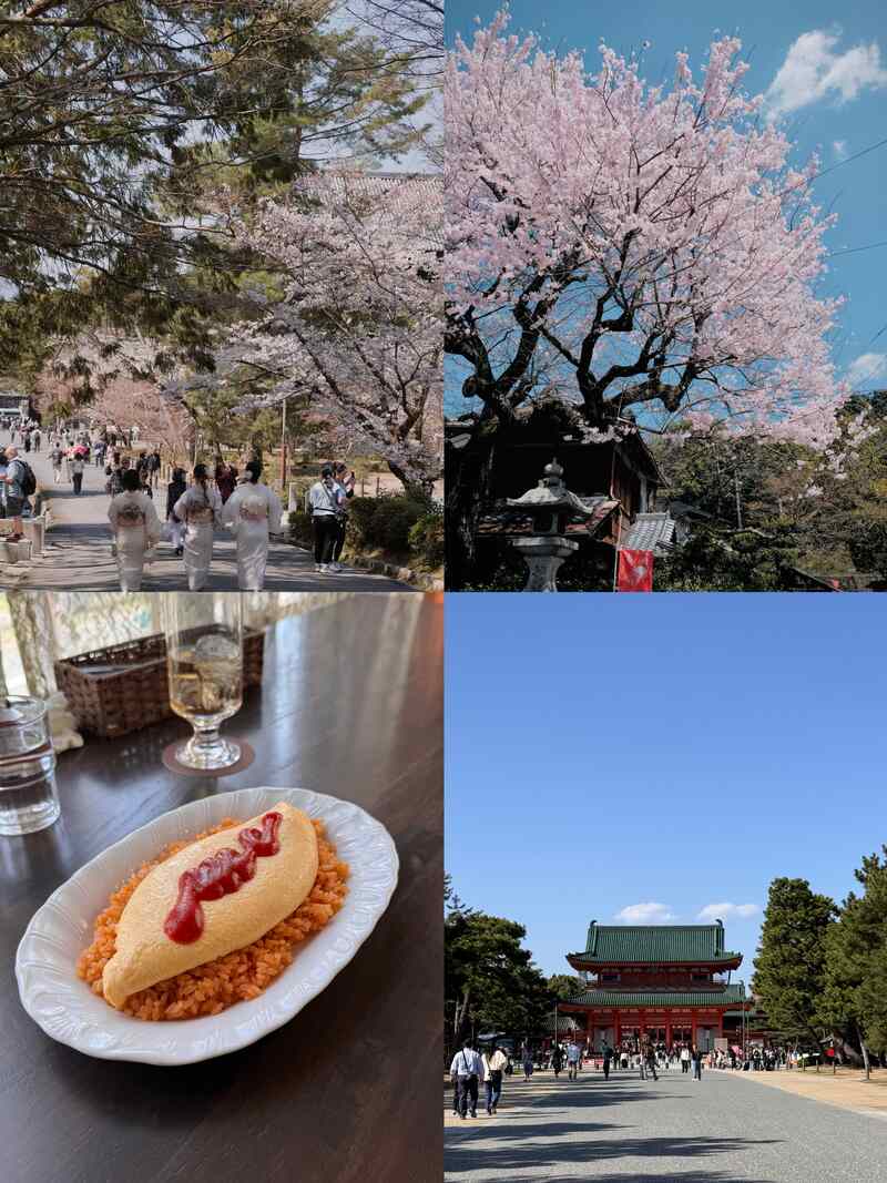 南禪寺櫻花一日遊